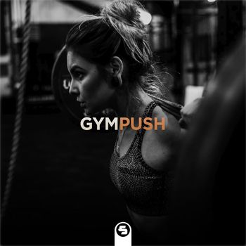 Various Artists - Gympush