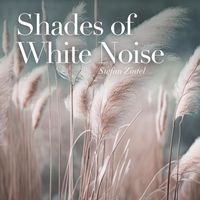 Stefan Zintel - Shades of White Noise (Relax, Focus and Improve Your Sleep.)
