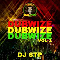 Dj Stp - Dubwize Dubwize Dubwize Vol 1 (Explicit)