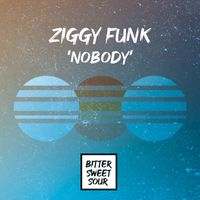 Ziggy Funk - Nobody