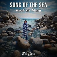 Bri Carr - Song of the Sea