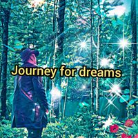 Ryan Edward Wilkins - Journey for Dreams