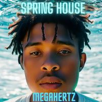 Megahertz - Spring House