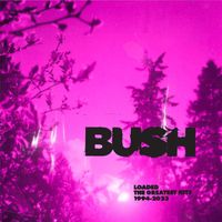 Bush - Nowhere To Go But Everywhere