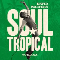 David Walters - Soul Tropical (Voilaaa Remix)