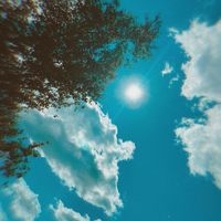 Tvo - summertime madness