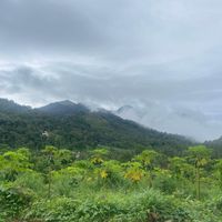 Vidhuprathap - Pularimanjin Kuliru Poloru Deshamund