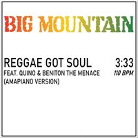 Big Mountain - Reggae Got Soul (Amapiano Version) [feat. Quino & Beniton the Menace]