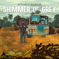 Monarch Banerjee - Shimmer of Grey