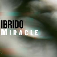 Ibrido - Miracle