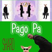 Shard - Pago Pa