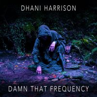 Dhani Harrison - Damn That Frequency