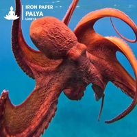 Iron Paper - Palya