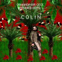 Colin - Ormanda Bir Gece (Remix Edits)