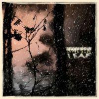 Anomalous Leaf - After Dark