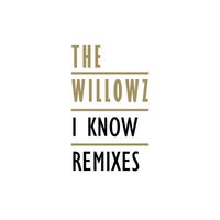 The Willowz - I Know (Remixes)