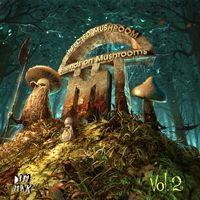 Infected Mushroom - Friends On Mushrooms, Vol. 2