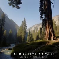 Audio Time Capsule - Sequoia National Forest