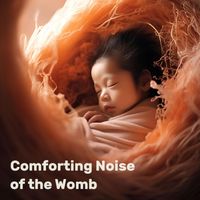Womb Sound - Comforting Noise of the Womb