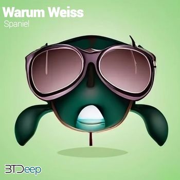 Warum Weiss - Spaniel