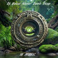 Dj Baloo - Never dont Stop (Extended Edit)