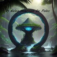 Dj Baloo - Inversion de Polos (Extended Edit)