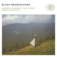 Black Brunswicker - Hidden Amongst the Trees and Foothills