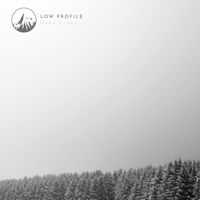 Low Profile - Grey Lines