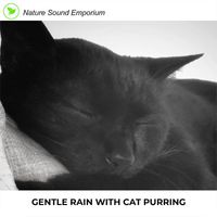 Nature Sound Emporium - Gentle Rain With Cat Purring