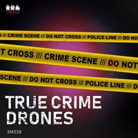 Klas Johan Wahl, Anders Paul Niska - True Crime Drones