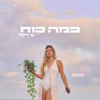 נוי דקל - כמה כוח