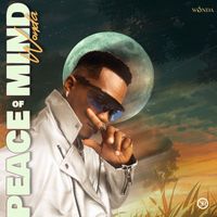 Wonda - Peace Of Mind