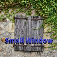 Diego - Small Window