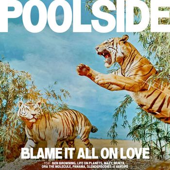 Poolside - We Could Be Falling In Love