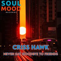 Criss Hawk - Never Say Goodbye To Friends