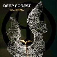 Deep Forest - Burning