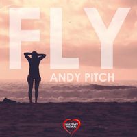 Andy Pitch - Fly - Single