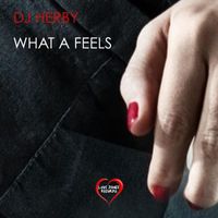 DJ Herby - Waht a Feels - Single