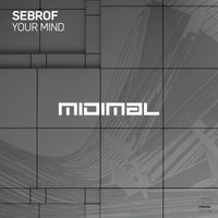 Sebrof - Your Mind