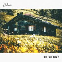 The Bare Bones - Cabin