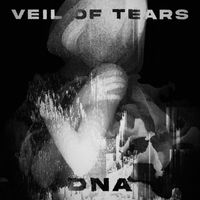 DNA - Veil of Tears