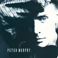 Peter Murphy - Cuts You Up