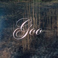 Murmur - Goo (Joseph Shabason Remix)