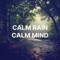 Nature Of Sweden - Calm Rain, Calm Mind