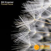 Bill Kraemer - Forced Focus