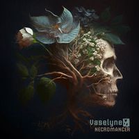 Vaselyne - Necromancer