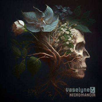 Vaselyne - Necromancer