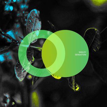 Wailey - Sensation