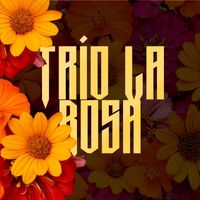 Trio La Rosa - Trío La Rosa