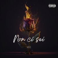 kris - NON CI SEI (Explicit)